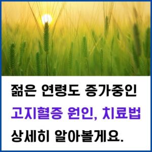 고지혈증-썸네일