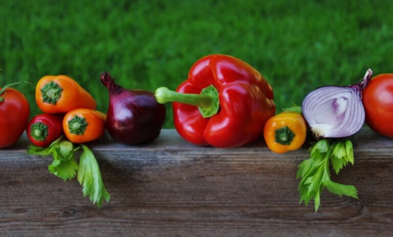 고지혈증-치료법