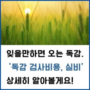 독감-검사-비용-썸네일
