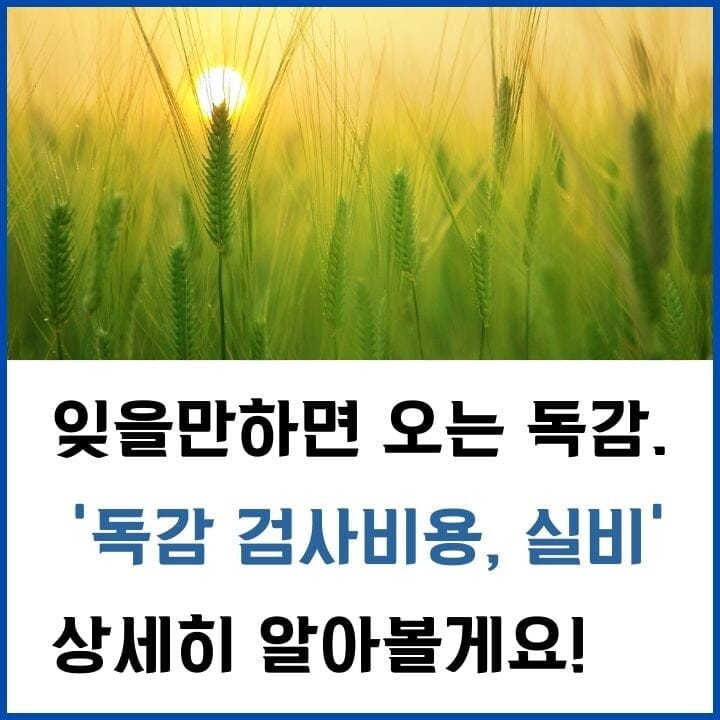 독감-검사-비용-썸네일
