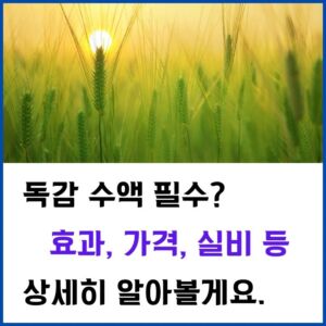 독감-수액-가격-썸네일