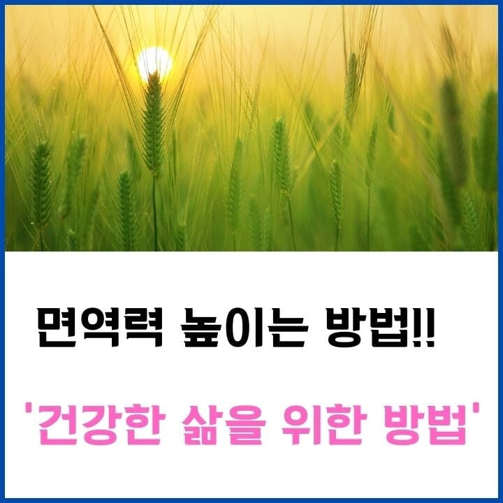 면역력-썸네일