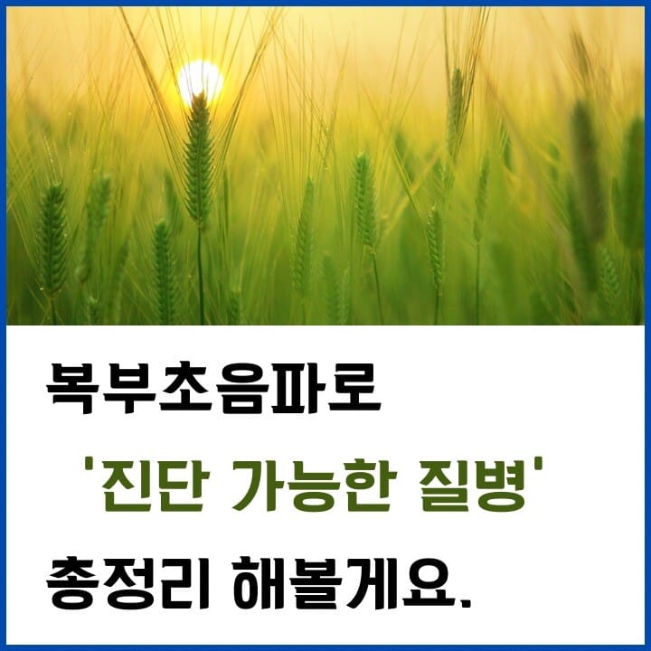 복부초음파-진단-썸네일