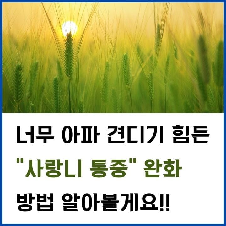 사랑니-썸네일