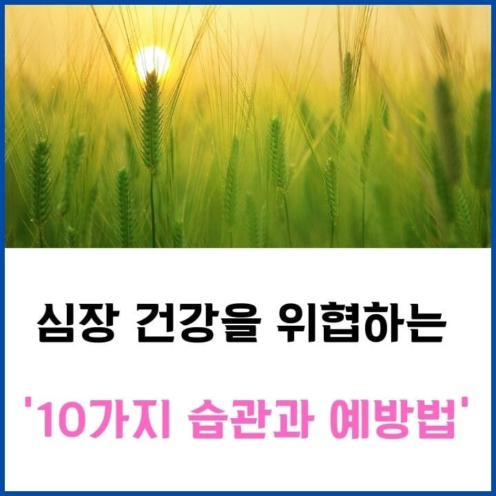 심장-건강-썸네일