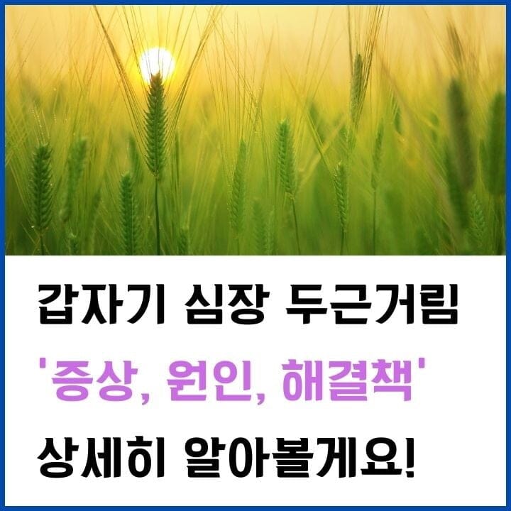 심장-두근거림