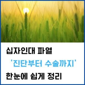 십자인대-파열-증상