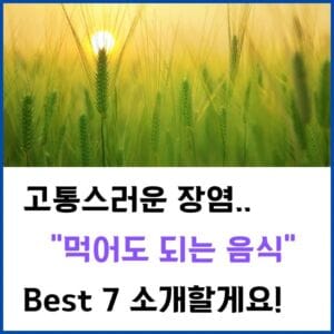 장염-음식