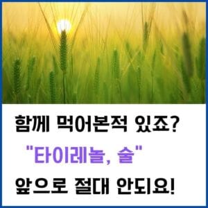 타이레놀-술-썸네일