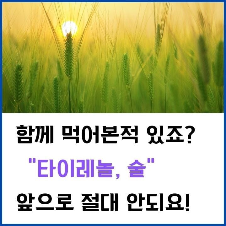 타이레놀-술-썸네일