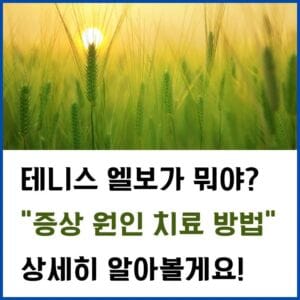 테니스-엘보