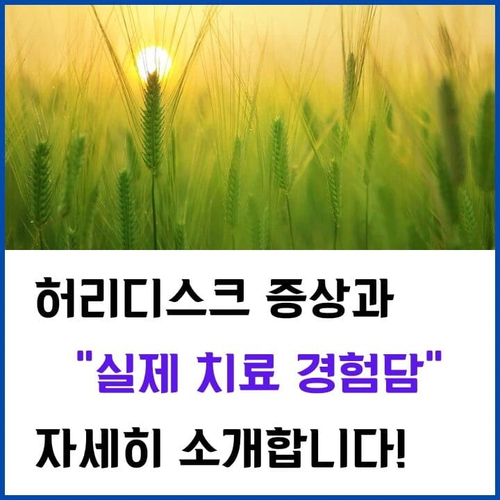 허리디스크-증상-썸네일